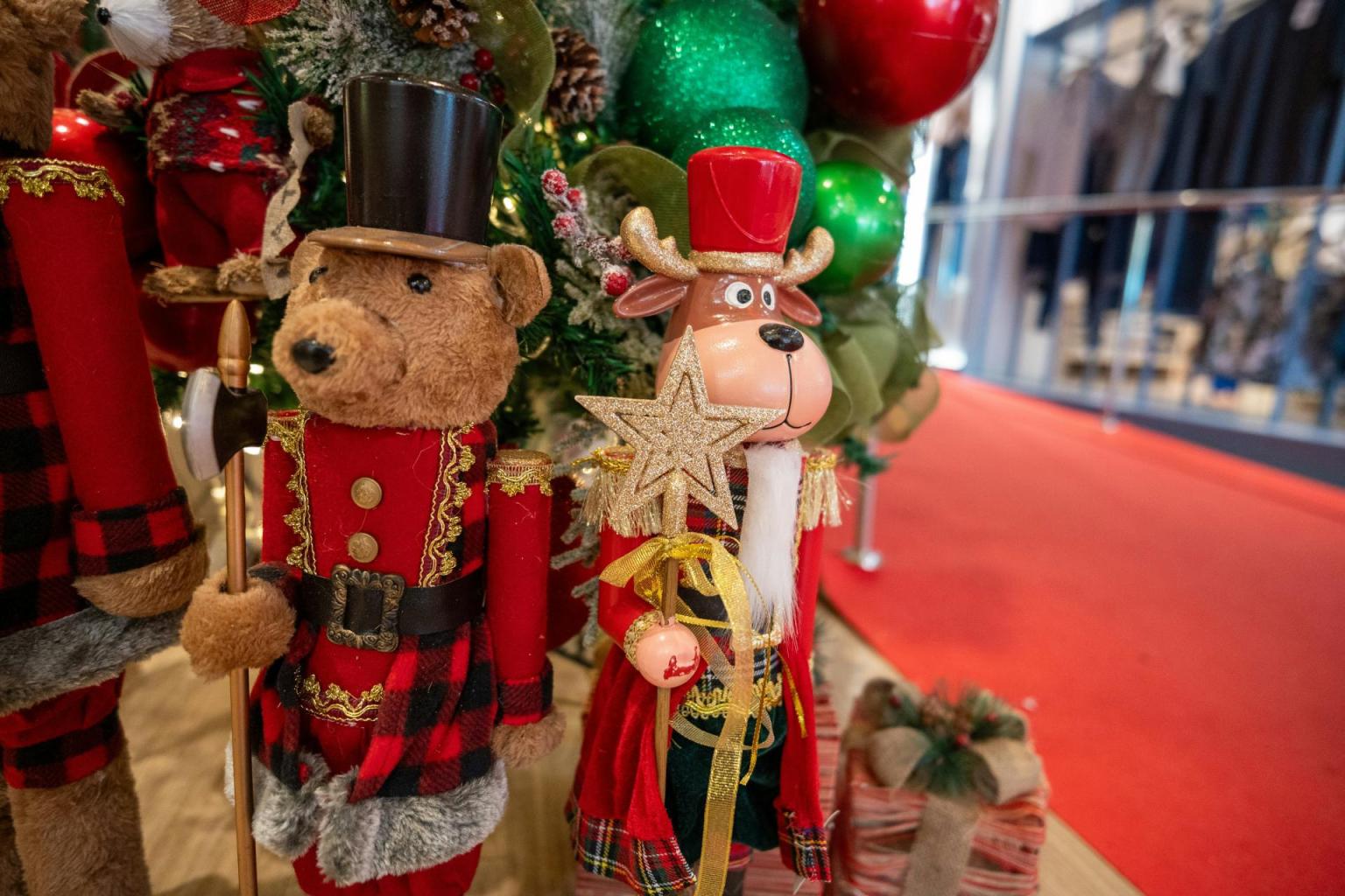 fernando-dantas-knRJ_5CKOmU-unsplash