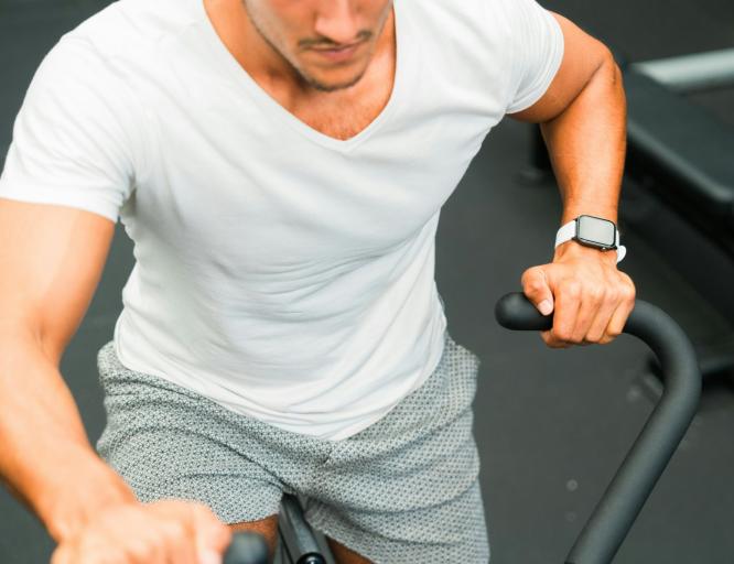 gard-pro-bMkI3R1ho2Q-unsplash